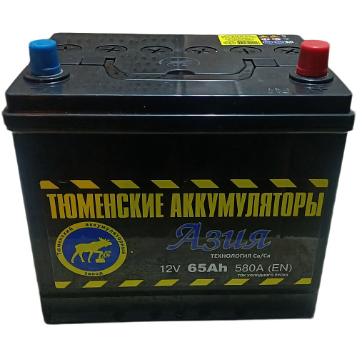 Аккумулятор  Тюмень АЗИЯ 6СТ - 65 L (о.п) ниж.креп. [д231ш173в223/520]